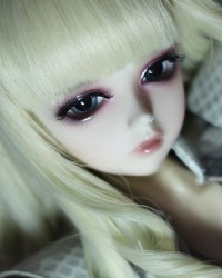 Shang Nai  Shang Nai